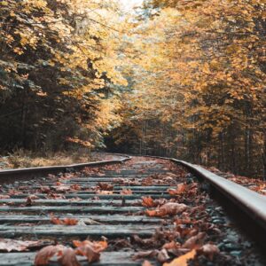 Rustic railway tracks surrounded by vibrant autumn foliage at Shawnigan Lake, BC.