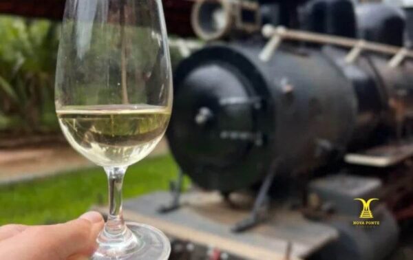 Pacote São Roque Rota dos Vinhos