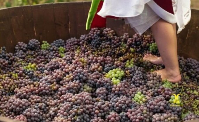 Festa da Uva de Jundiaí 41ª Edição 2026