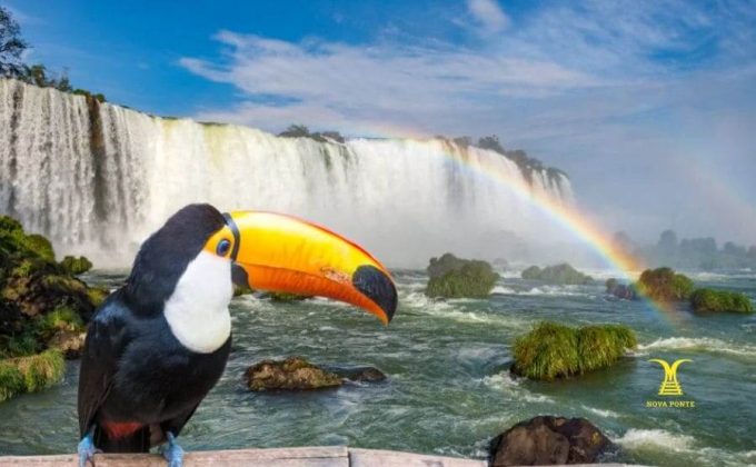 Foz do Iguaçu 04 Dias/03 Noites com Aéreo