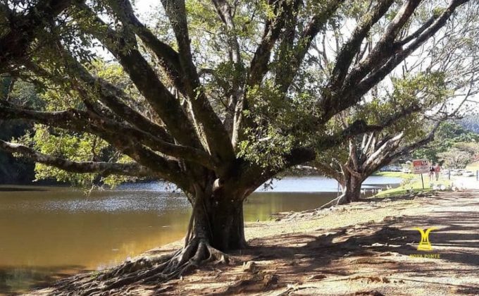 Jundiaí Fazenda Nossa Senhora da Conceição Roteiro Pedagógico