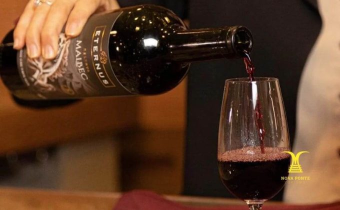 Passeio de Trem com Vinho e Charcutaria sobre trilhos em São Roque