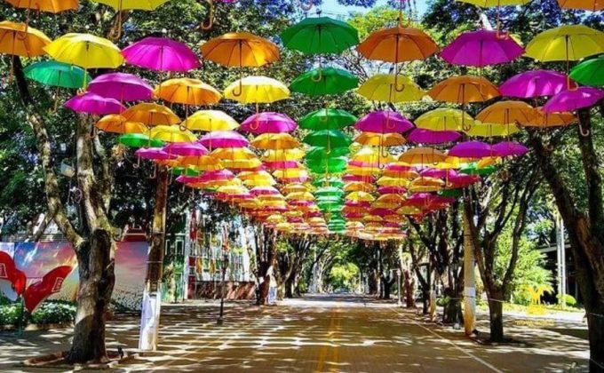 Trem Maria Fumaça Campinas Jaguariúna com Holambra