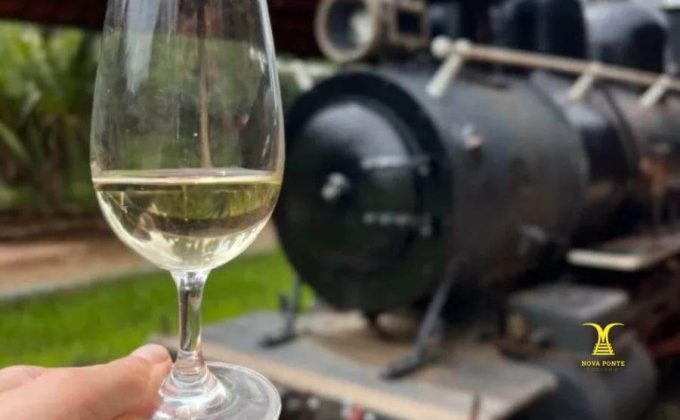 Pacote São Roque Rota dos Vinhos