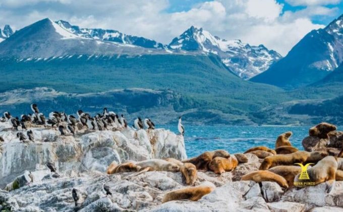 Trem do Fim do Mundo Ushuaia Argentina